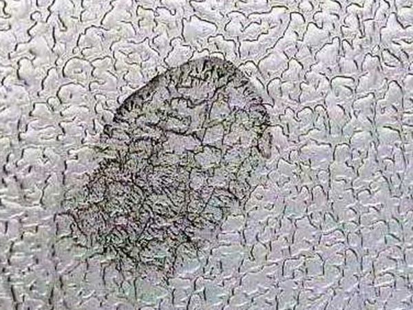 INOX-TEC® - Fingerprint on Dessin Ledernarben,  untreated