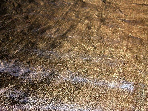 Textura -  bronze/ gold