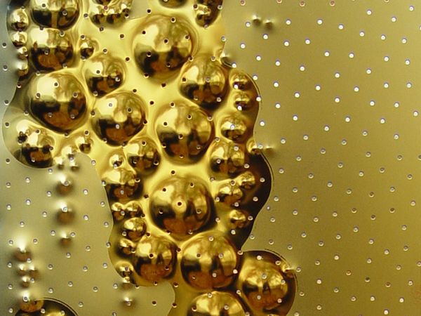 Individual design - gold