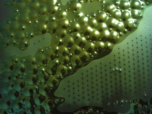 Individual design - green